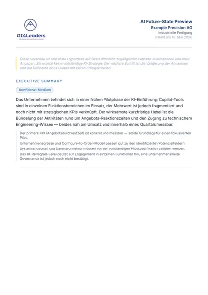 Beispiel-Report, Seite 1: Executive Summary mit einer ersten Einschätzung für ein Unternehmen der industriellen Fertigung